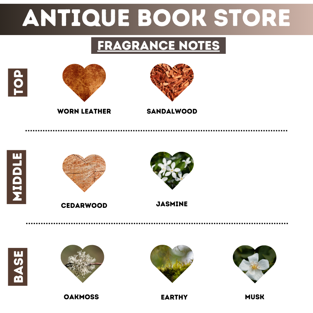 Antique Book Store Whipped Body Scrub